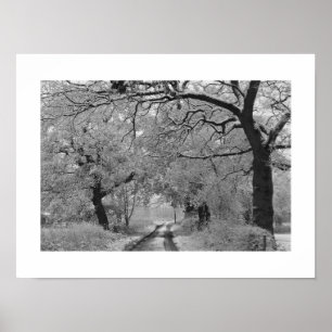 Poster Road en hiver : Cheshire, Angleterre