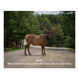 Poster Roadkill