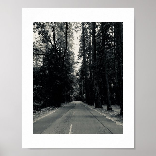 Poster Roadside Wilds Photographie noir et blanc (Devant)
