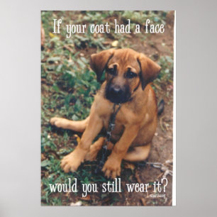 Poster robe de chien