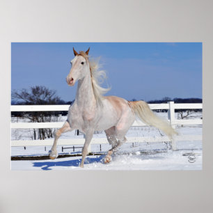 Poster Robe rouge en neige