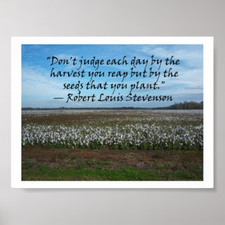 Poster Robert Louis Stevenson-Ne juge pas chaque jour....