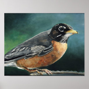 Poster Robin Bird Art Print