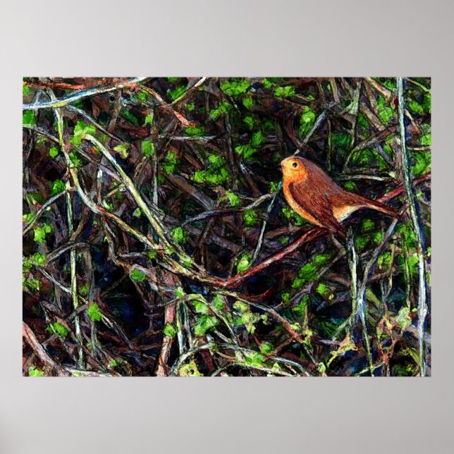 Poster Robin dans une haie (Devant)