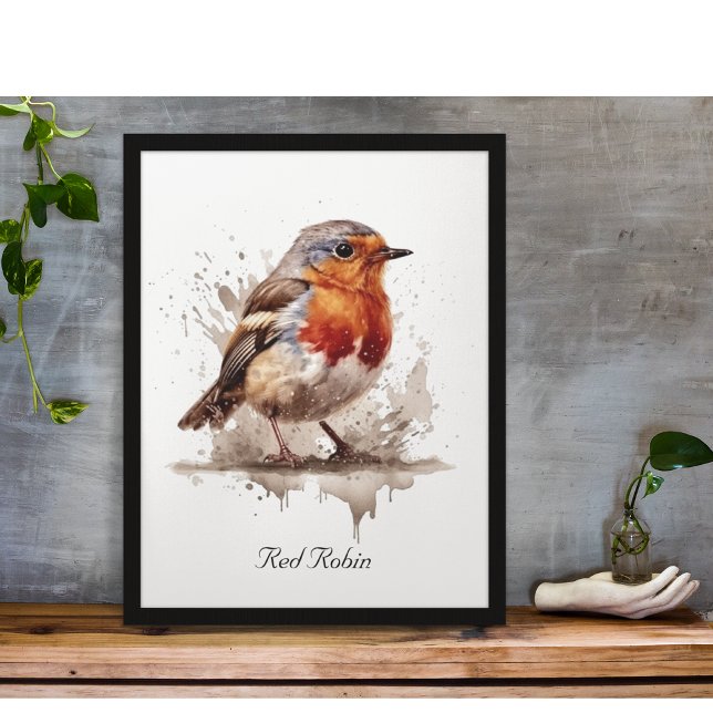 Poster Robin de Jardin de charme, coutume (Créateur téléchargé)