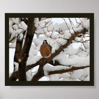 Poster Robin en noir