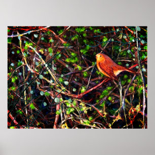 Poster Robin oiseau une branche dans une haie