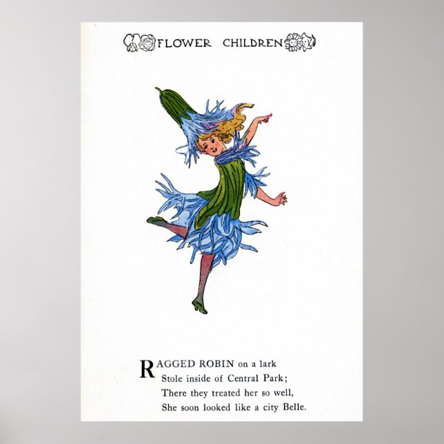 Poster Robin Ragged (Devant)