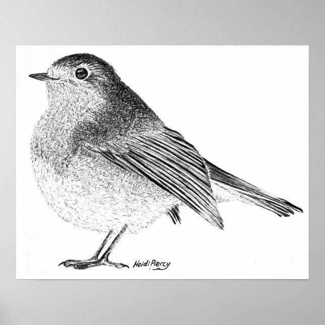 Poster Robin Sketch (Devant)