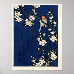 Poster Robin sur une branche de fleurs de cerisier par K.