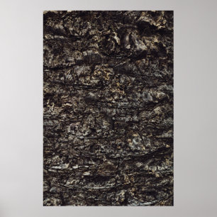 Poster Roche Brown