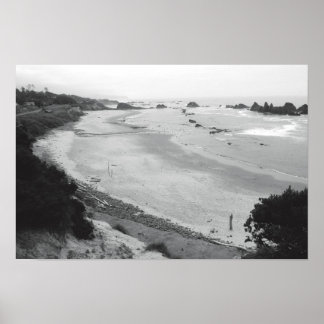 Poster Roche de phoque - Duotone