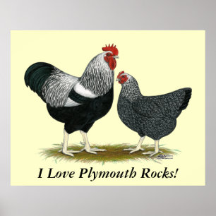 Poster Roche Plymouth : Paire Pencilée Argent