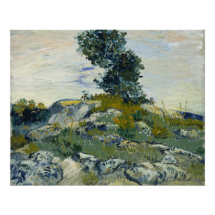 Poster Roches avec chêne, peinture à l'huile de Van Gogh