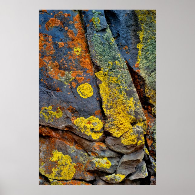Poster Roches couvertes de Lichen (Devant)
