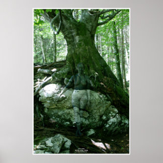 Poster Rock and Tree by Johannes