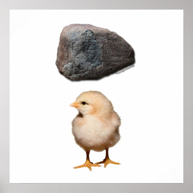 Poster Rock + Chick (Devant)