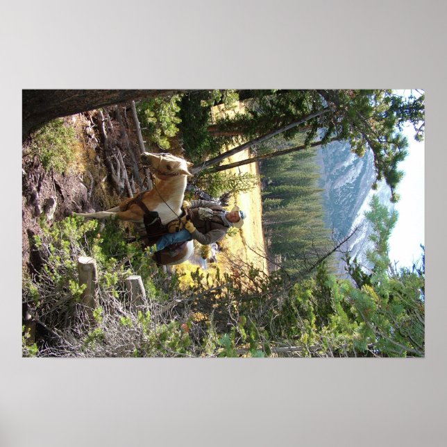 Poster Rocky Mountain Horse Ride (Devant)