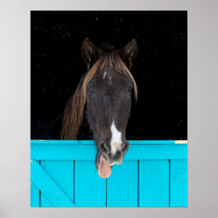Poster Rocky Mountain Yawn