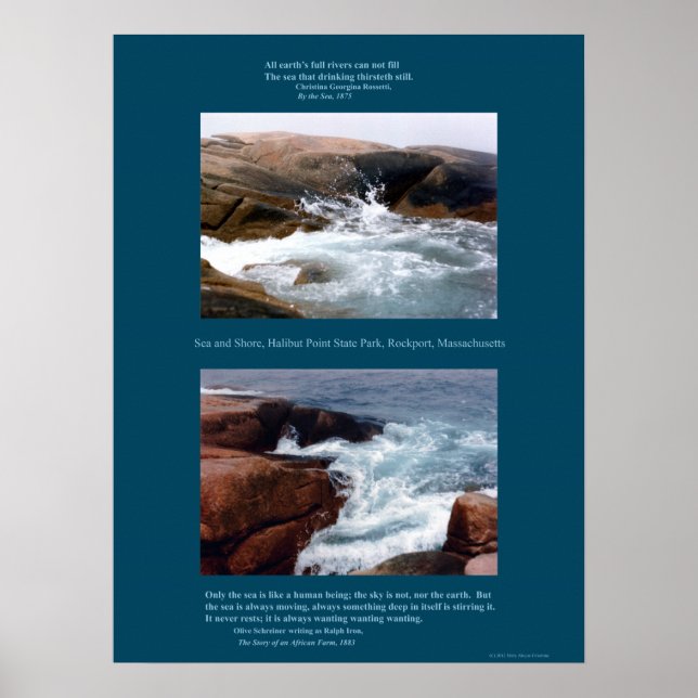 Poster Rocky Shore (Devant)