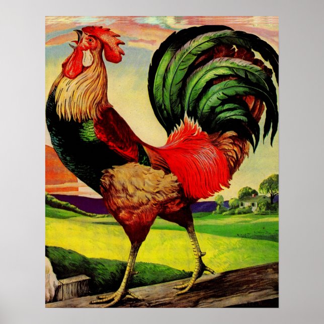 Poster Rocky the Handsome Rooster (Devant)