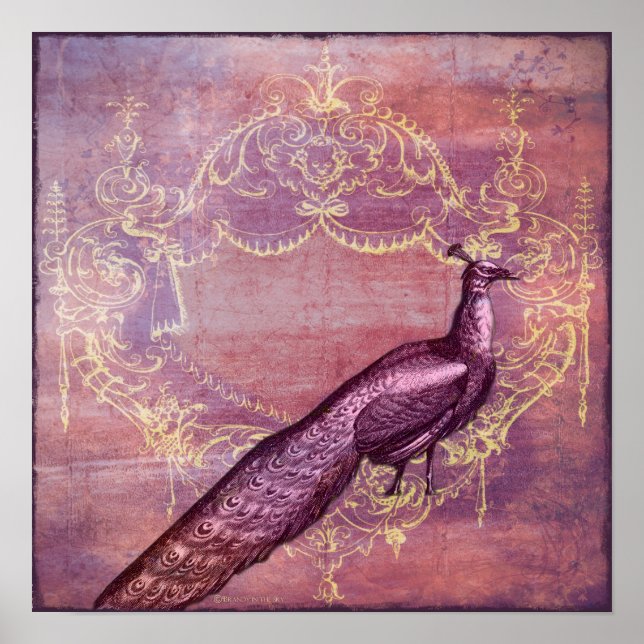 Poster Rococo French Purple Peacock Imprimer (Devant)