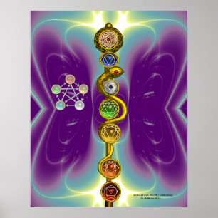 POSTER ROD OF ASCLEPIUS 7 CHAKRAS,YOGA ,SPIRITUAL ENERGY