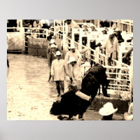 Poster Rodeo Bull Rider