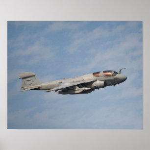 Poster Rôdeur d'EA-6B
