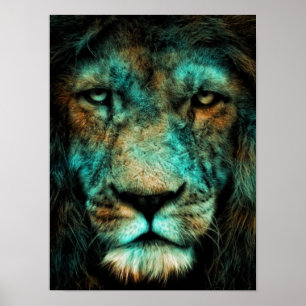 Poster Roi