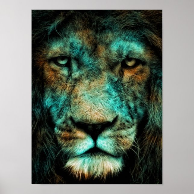 Poster Roi (Devant)
