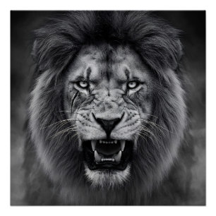 Poster Roi de la Jungle