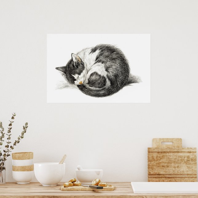 Poster Rolled vers le haut couché chat (1825) (Cuisine)