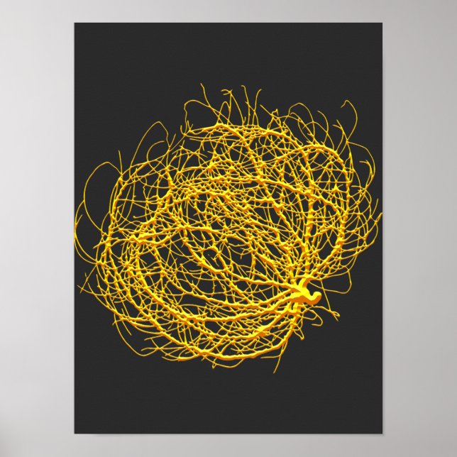 Poster RollinGolden Tumbleweed Plante Art original (Devant)