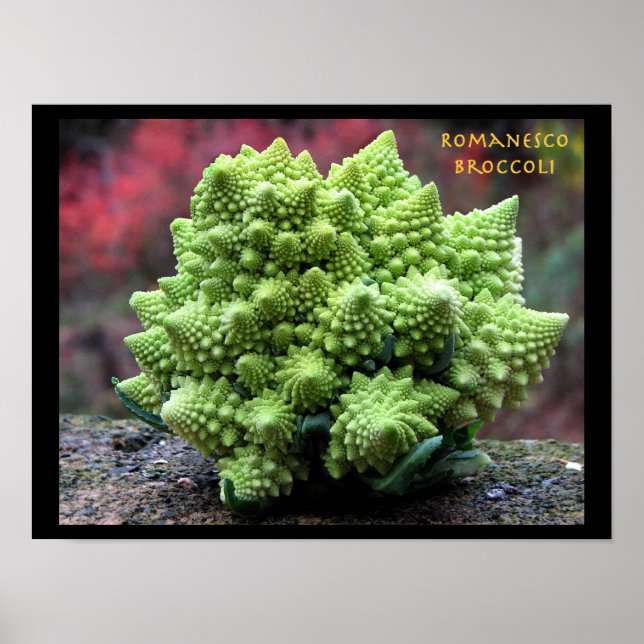 Poster Romanesco Broccoli Légumes (Devant)