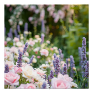 Poster Romantic Garden Bloom – Pink Roses and Lavender