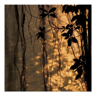 Poster romantique du coucher de soleil