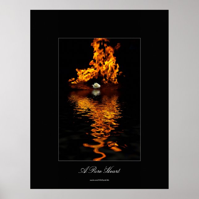 Poster romantique Fleur de Feu et Rose Blanche (Devant)