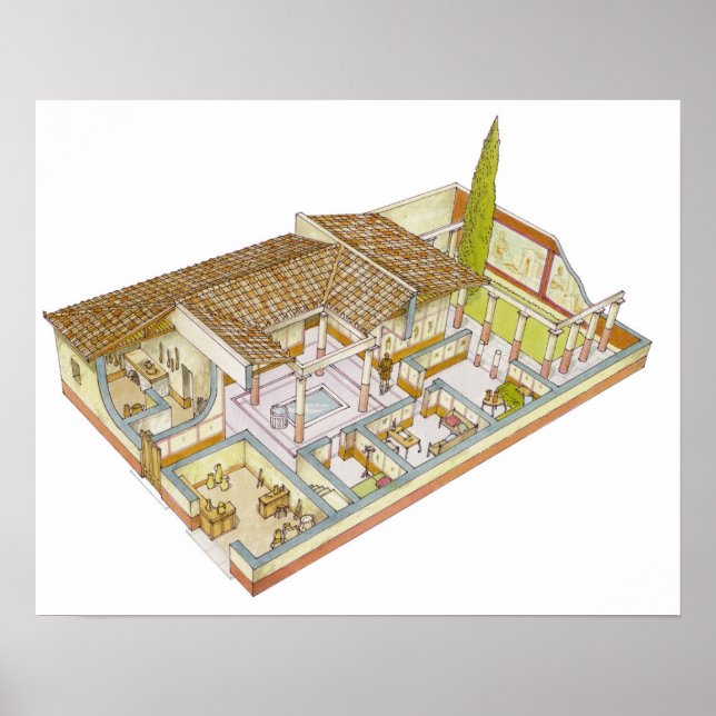 Poster Rome. Domus (Devant)