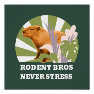 Poster Rongeurs Frères Ne Stressez Jamais Drôle Capybara