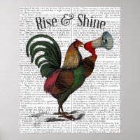Rooster avec Loudhailer