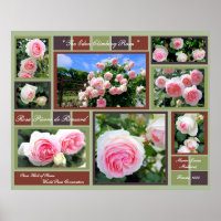 Rosa Pierre de Ronsard [Poster d'Art]