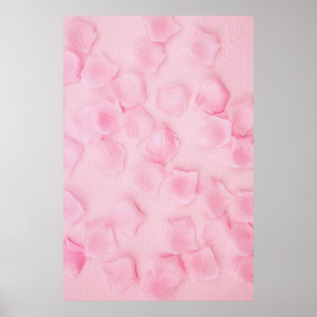 Poster Rose (Devant)