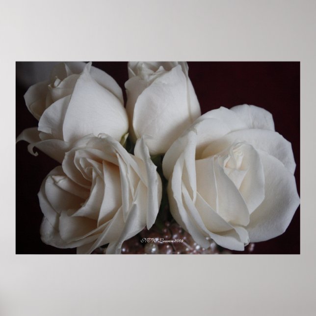 Poster Rose 15 (Devant)