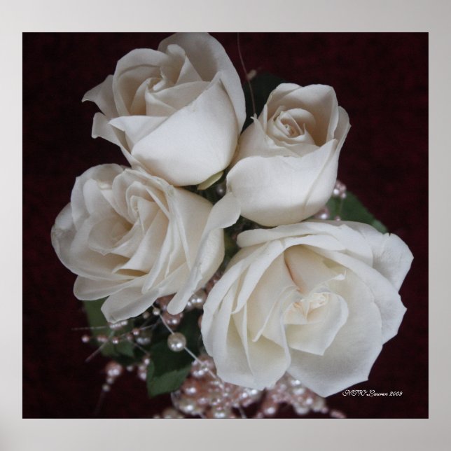 POSTER ROSE 2 (Devant)