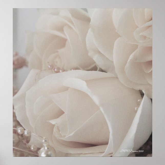 POSTER ROSE 9 (Devant)