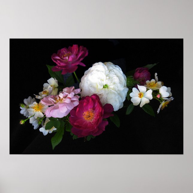 Poster Rose à l'ancienne (Devant)