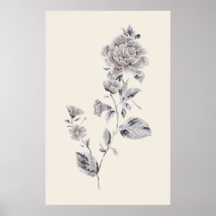 Poster Rose beige