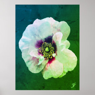 Poster Rose blanche avec cœur sombre - peinture à l'huile