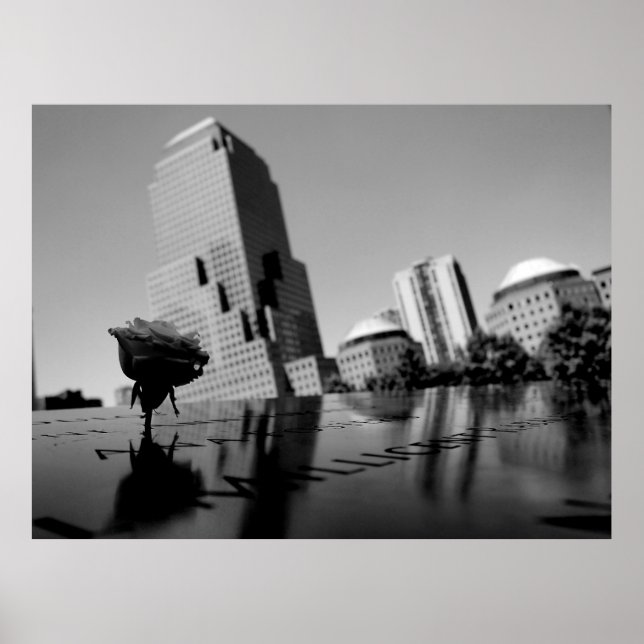 Poster Rose blanche du souvenir (Devant)